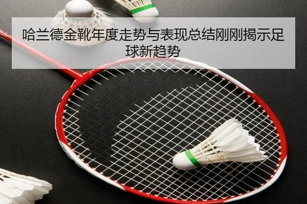 ha-lan-de-jin-xue-nian-du-zou-shi-yu-biao-xian-zong-jie-gang-gang-jie-shi-zu-qiu-xin-qu-shi-2-262.jpg
